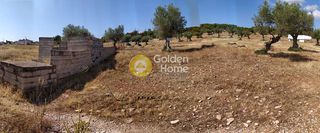 Οικόπεδο 1.657 τ.μ. για πώληση