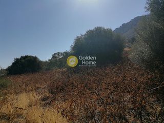 Οικόπεδο 830 τ.μ. προς πώληση, Λίσταρος-thumb-6