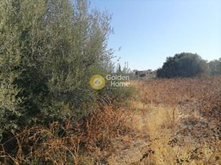 Οικόπεδο 830 τ.μ. προς πώληση, Λίσταρος-thumb-5