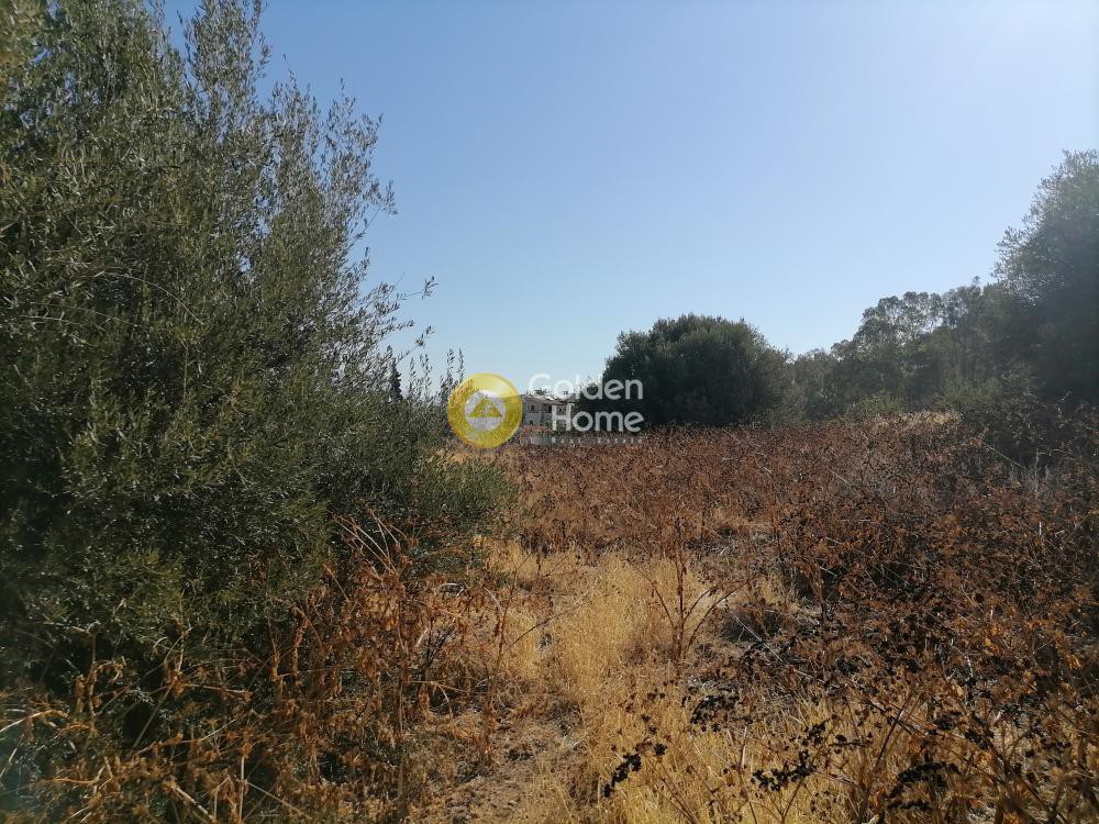 Οικόπεδο 830 τ.μ. προς πώληση, Ν. Ηρακλείου, Μοίρες