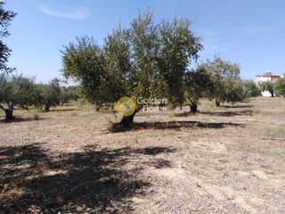 Οικόπεδο 658 τ.μ. προς πώληση, Ράχες Κυπαρισσίας-thumb-6
