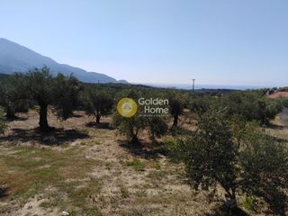 Οικόπεδο 658 τ.μ. για πώληση