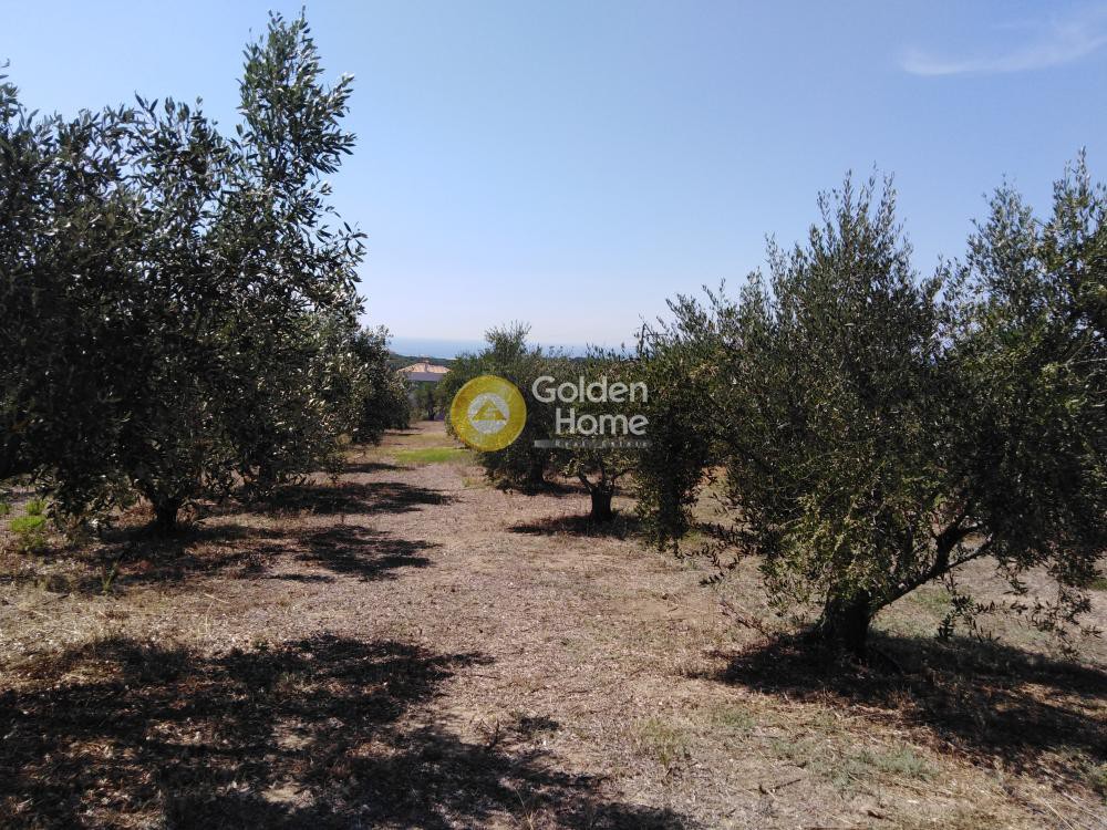 Οικόπεδο 658 τ.μ. προς πώληση, Μεσσηνία, Κυπαρισσία