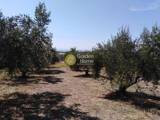 Οικόπεδο 658 τ.μ. προς πώληση, Ράχες Κυπαρισσίας-thumb-3