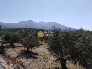 Οικόπεδο 658 τ.μ. προς πώληση, Ράχες Κυπαρισσίας-thumb-8