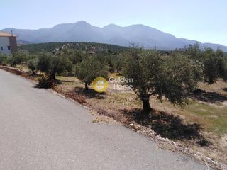 Οικόπεδο 658 τ.μ. προς πώληση, Ράχες Κυπαρισσίας-thumb-11