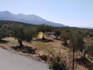 Οικόπεδο 658 τ.μ. προς πώληση, Ράχες Κυπαρισσίας-thumb-10