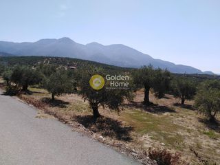 Οικόπεδο 658 τ.μ. προς πώληση, Ράχες Κυπαρισσίας-thumb-13