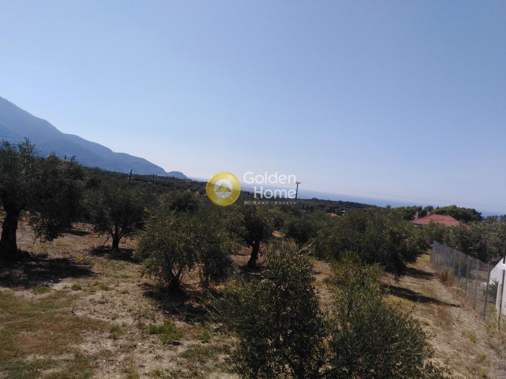 Οικόπεδο 658 τ.μ. προς πώληση, Μεσσηνία, Κυπαρισσία