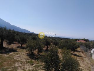 Οικόπεδο 658 τ.μ. προς πώληση, Ράχες Κυπαρισσίας-thumb-4