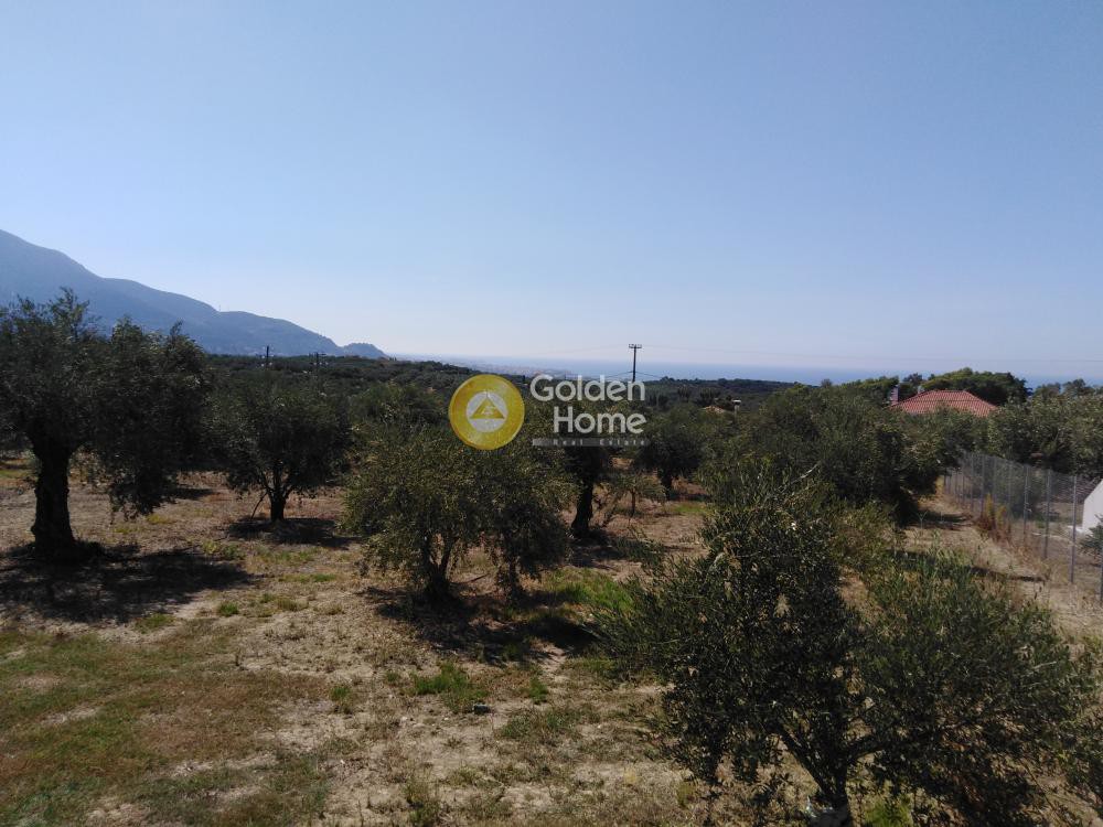 Οικόπεδο 658 τ.μ. προς πώληση, Μεσσηνία, Κυπαρισσία