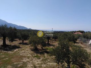 Οικόπεδο 658 τ.μ. προς πώληση, Ράχες Κυπαρισσίας-thumb-1
