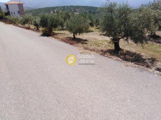 Οικόπεδο 658 τ.μ. προς πώληση, Ράχες Κυπαρισσίας-thumb-12