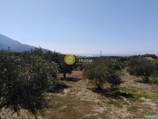 Οικόπεδο 658 τ.μ. προς πώληση, Ράχες Κυπαρισσίας-thumb-7