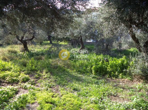 Land plot 380 sqm for sale, Achaia, Diakopto