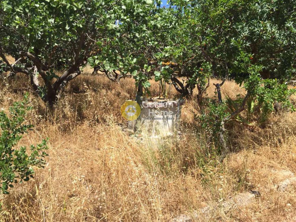 Οικόπεδο 1.800 τ.μ. προς πώληση, Βραυρώνα Μαρκοπούλου