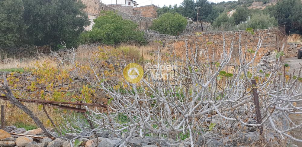 Οικόπεδο 436 τ.μ. προς πώληση, Επάνω Ελούντα