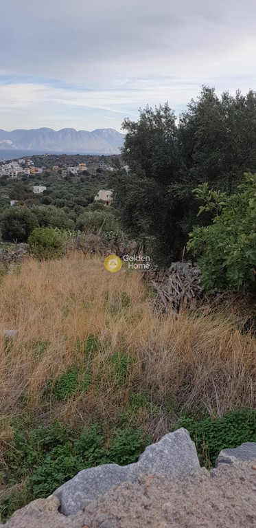 Οικόπεδο 436 τ.μ. προς πώληση, Επάνω Ελούντα