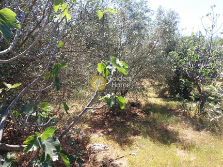 Οικόπεδο 2.445 τ.μ. για πώληση