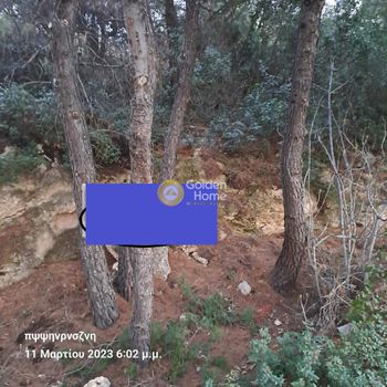 Οικόπεδο 1.019τ.μ. για πώληση-Μαλεσίνης