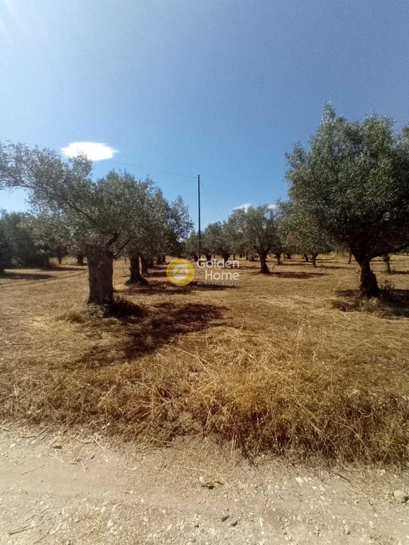 Οικόπεδο 2.023 τ.μ. προς πώληση, Παράλιο Άστρος