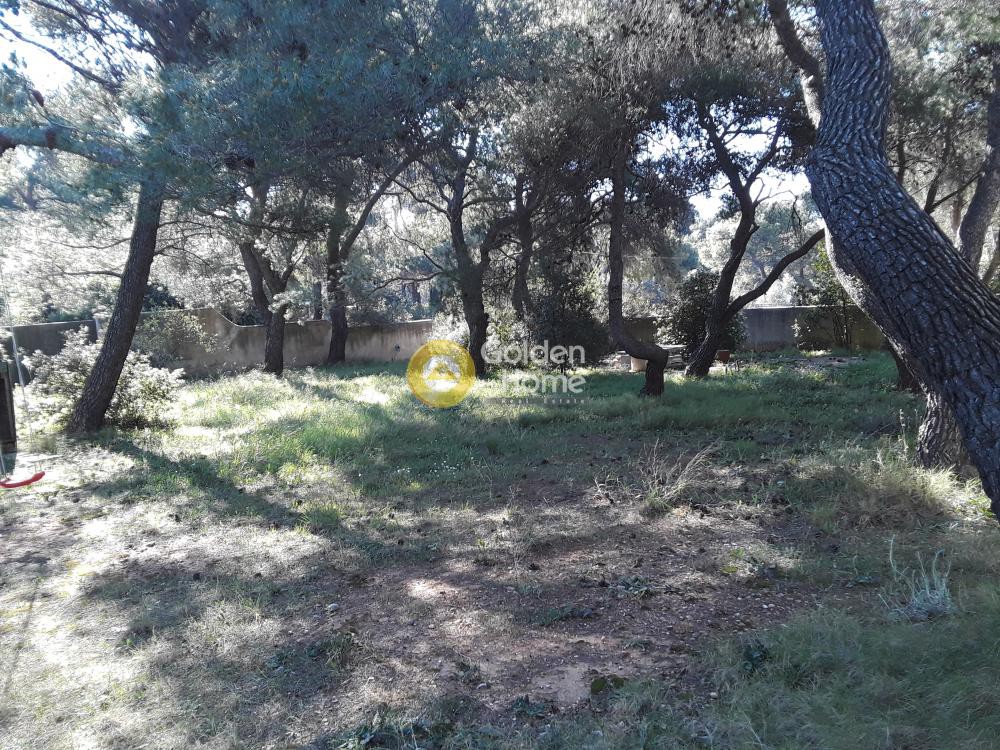 Οικόπεδο 1.920 τ.μ. προς πώληση, Βαρυμπόμπη