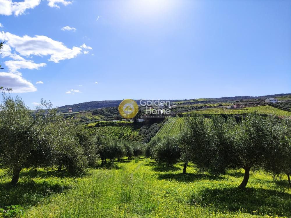Οικόπεδο 4.005 τ.μ. προς πώληση, Σίλαμος