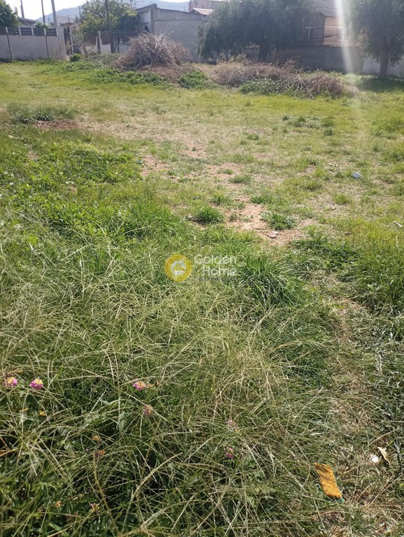 Οικόπεδο 960 τ.μ. προς πώληση, Κέντρο Σαλαμίνας