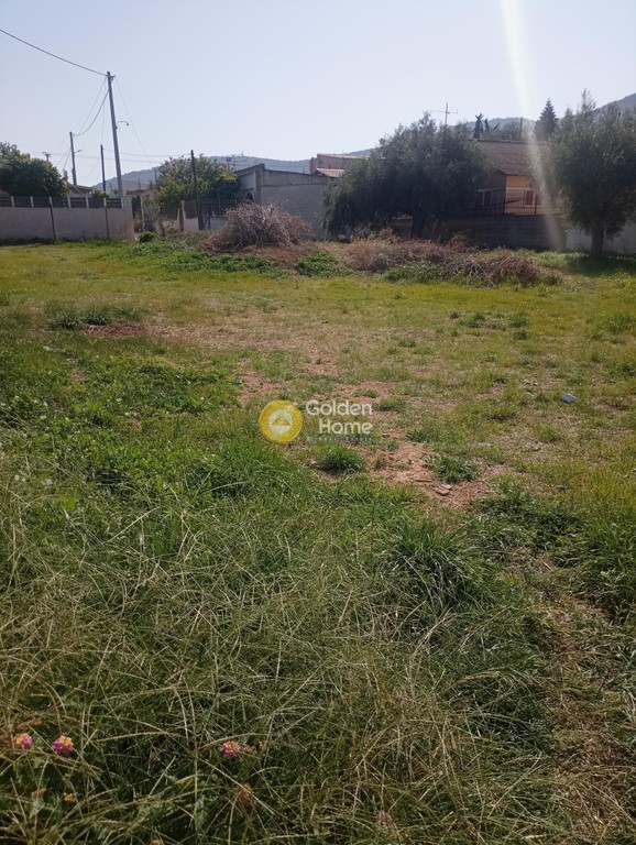 Οικόπεδο 960 τ.μ. προς πώληση, Κέντρο Σαλαμίνας
