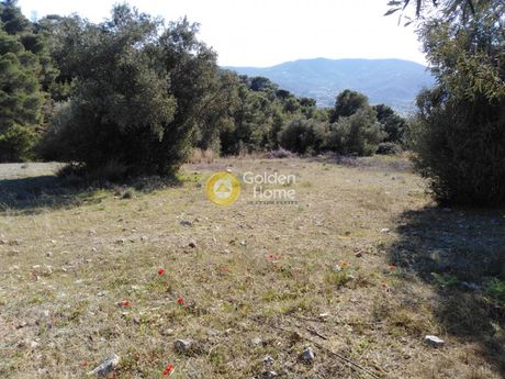 Αγροτεμάχια 4.700 τ.μ. για πώληση