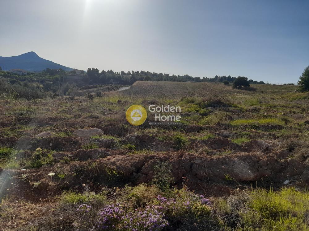 Αγροτεμάχια 3.100 τ.μ. προς πώληση, Καπανδρίτι Αττικής