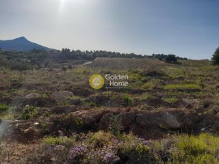 Αγροτεμάχια 3.100 τ.μ. για πώληση