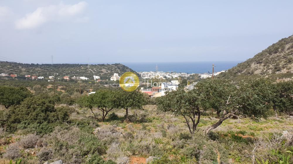 Οικόπεδο 15.000 τ.μ. προς πώληση, Σταλίδα