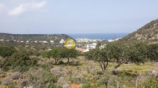 Οικόπεδο 15.000 τ.μ. για πώληση