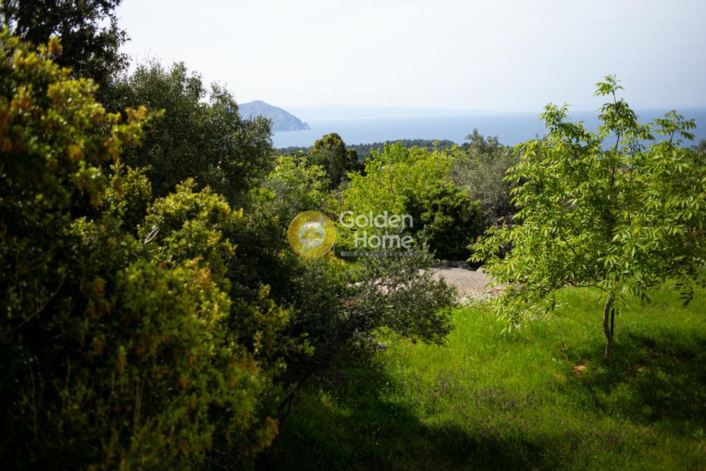 Μονοκατοικία 303 τ.μ. προς πώληση, Βλαχιά