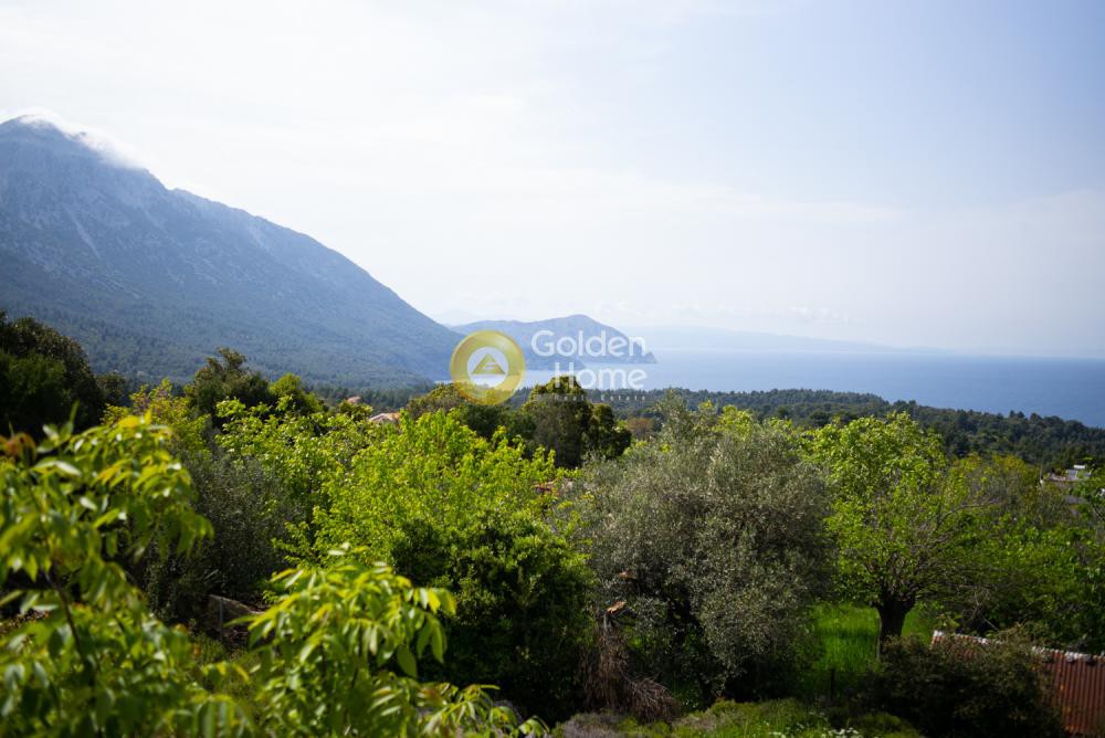 Μονοκατοικία 303 τ.μ. προς πώληση, Βλαχιά