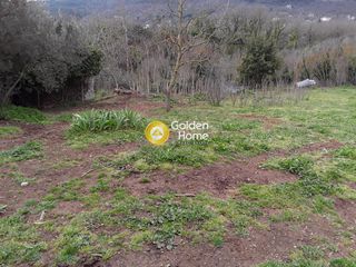 Οικόπεδο 2.005 τ.μ. για πώληση