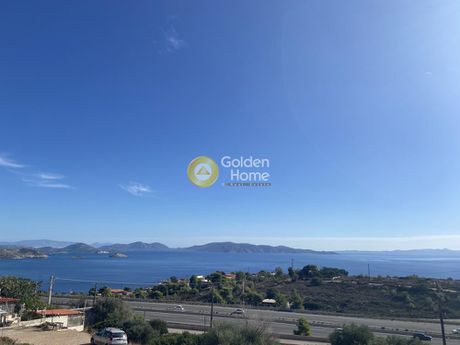 Οικόπεδο 180.000 τ.μ. για πώληση