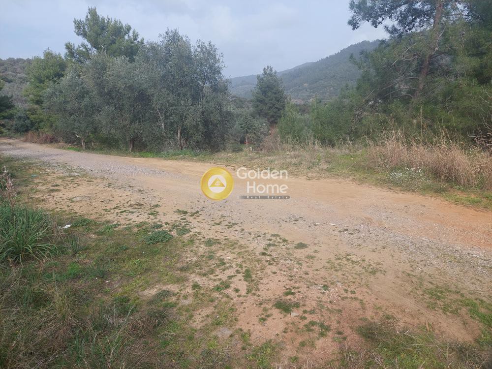 Οικόπεδο 394 τ.μ. πρός πώληση, Αιτωλοακαρνανία, Αγρίνιο