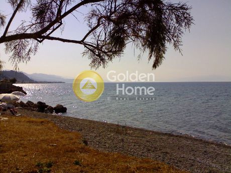 Οικόπεδο 300τ.μ. για πώληση-Ευρωστίνη » Λυγιά