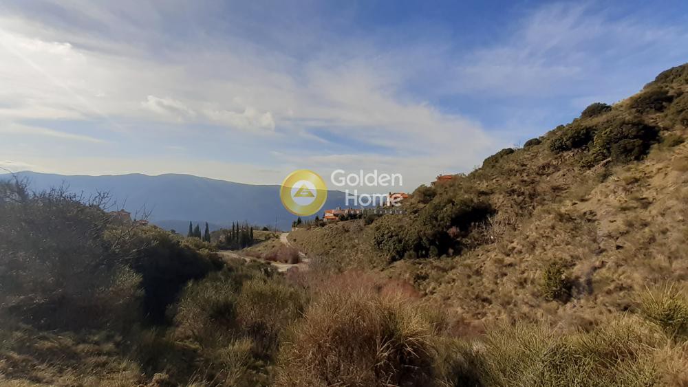 Αγροτεμάχια 2.980 τ.μ. προς πώληση, Αράχοβα Βοιωτίας