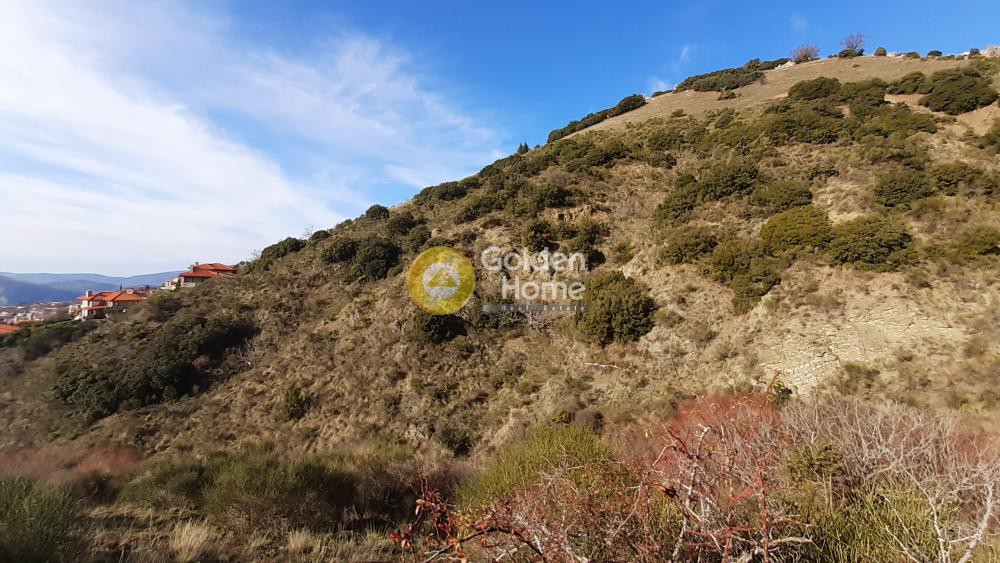Αγροτεμάχια 2.980 τ.μ. προς πώληση, Αράχοβα Βοιωτίας