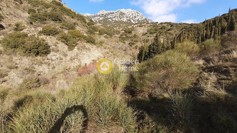 Αγροτεμάχια 2.980 τ.μ. προς πώληση, Αράχοβα Βοιωτίας