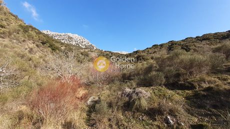 Αγροτεμάχια 2.980τ.μ. για πώληση-Αράχοβα » Αράχοβα