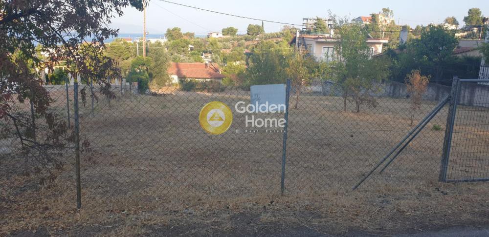 Αγροτεμάχια 601 τ.μ. προς πώληση, Πλάκα Δήλεσι
