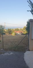 Αγροτεμάχια 601 τ.μ. για πώληση