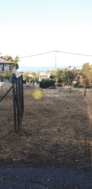 Αγροτεμάχια 601 τ.μ. προς πώληση, Πλάκα Δήλεσι