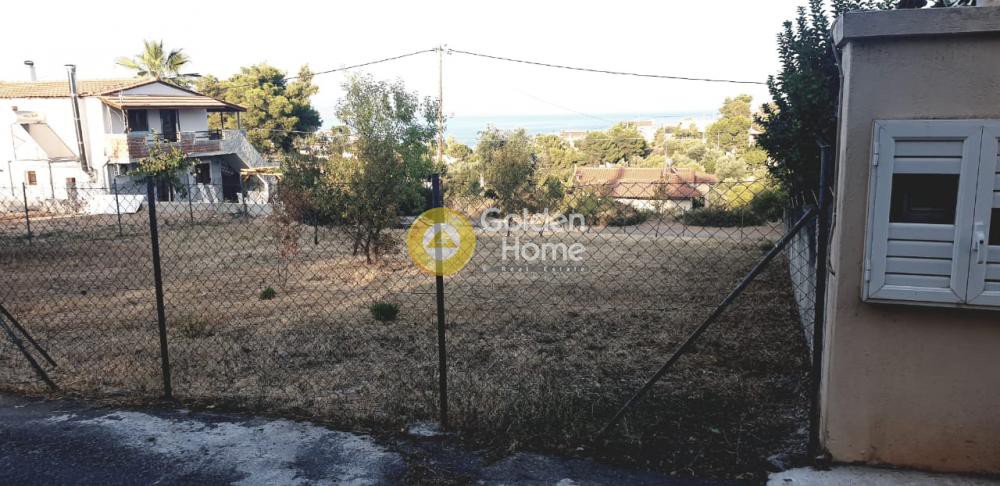 Αγροτεμάχια 601 τ.μ. προς πώληση, Πλάκα Δήλεσι