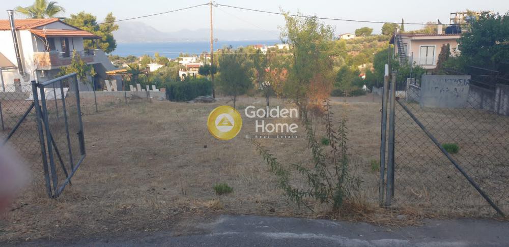 Αγροτεμάχια 601 τ.μ. προς πώληση, Πλάκα Δήλεσι