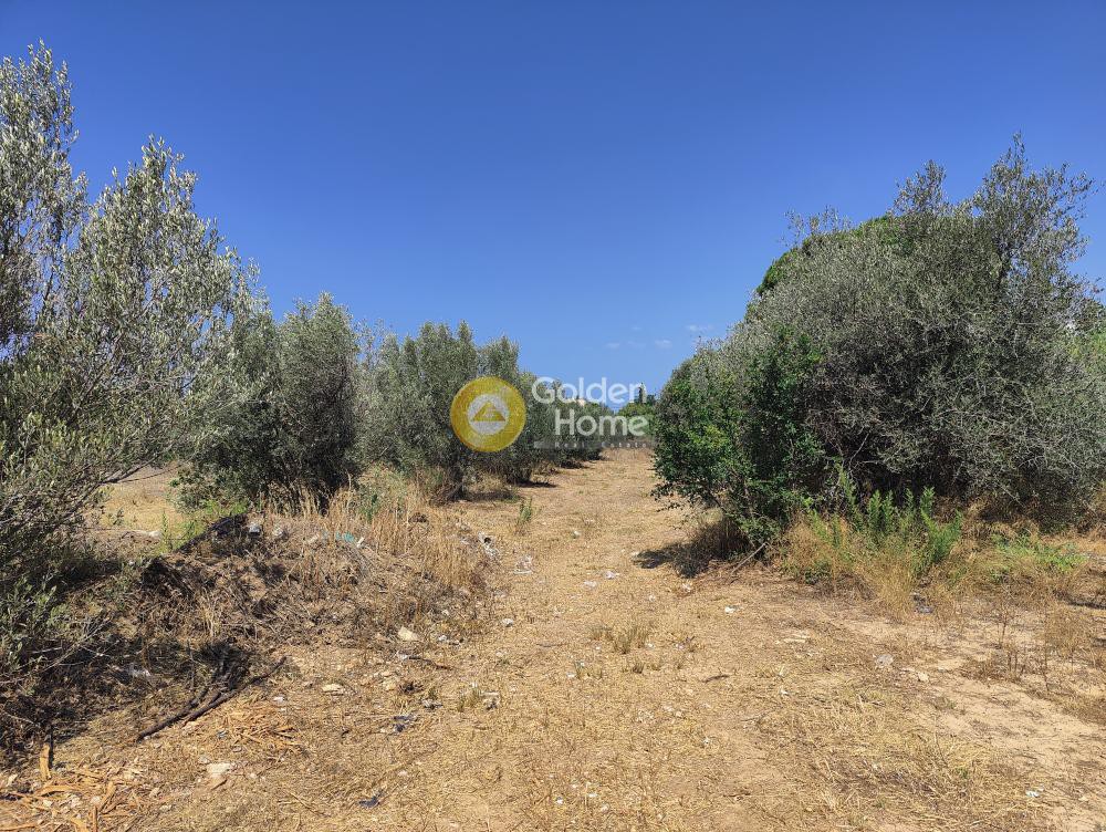 Οικόπεδο 3.650 τ.μ. προς πώληση, Άγιος Δημήτριος Κορωπίου